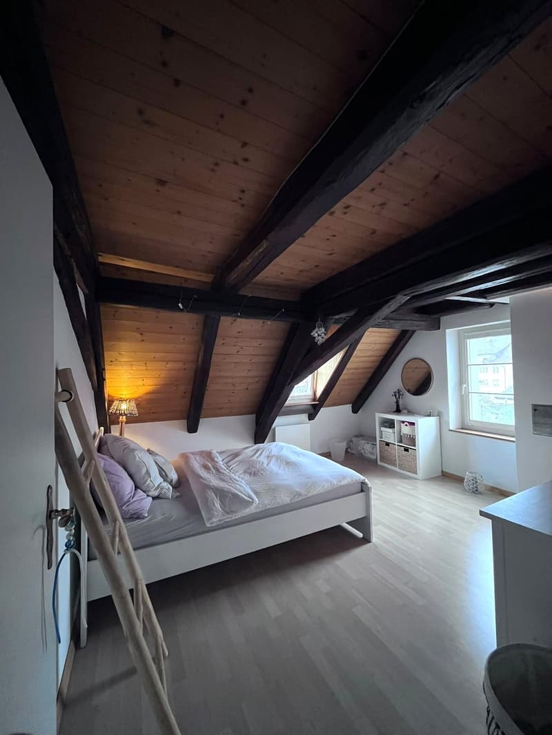 Charmante Altbauwohnung in Schaffhausen (5)
