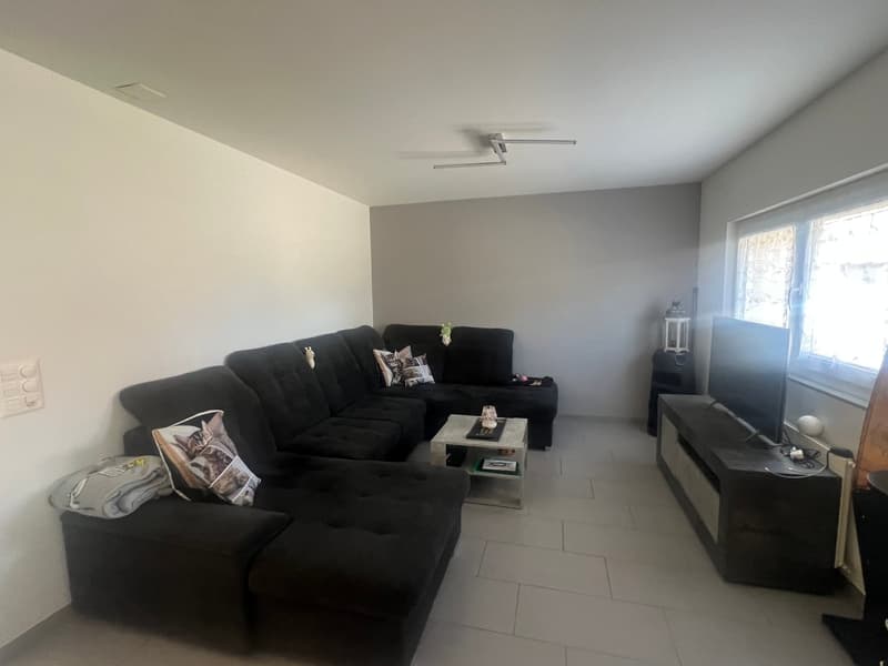 Charming individual house renovated with great potential – Chénens (5)