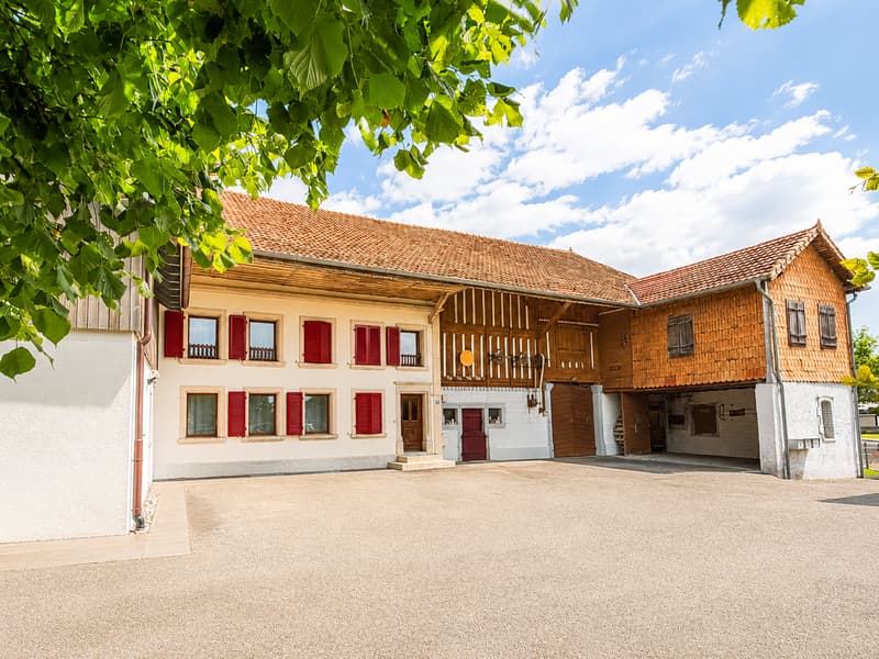 Ferme de caractère avec 3 logements indépendants sur 2'998 m² de terrain (1)