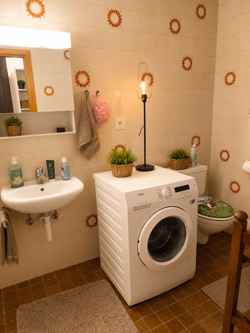 In affitto – Delizioso appartamento di 3.5 locali sotto il tetto a Romont (5)