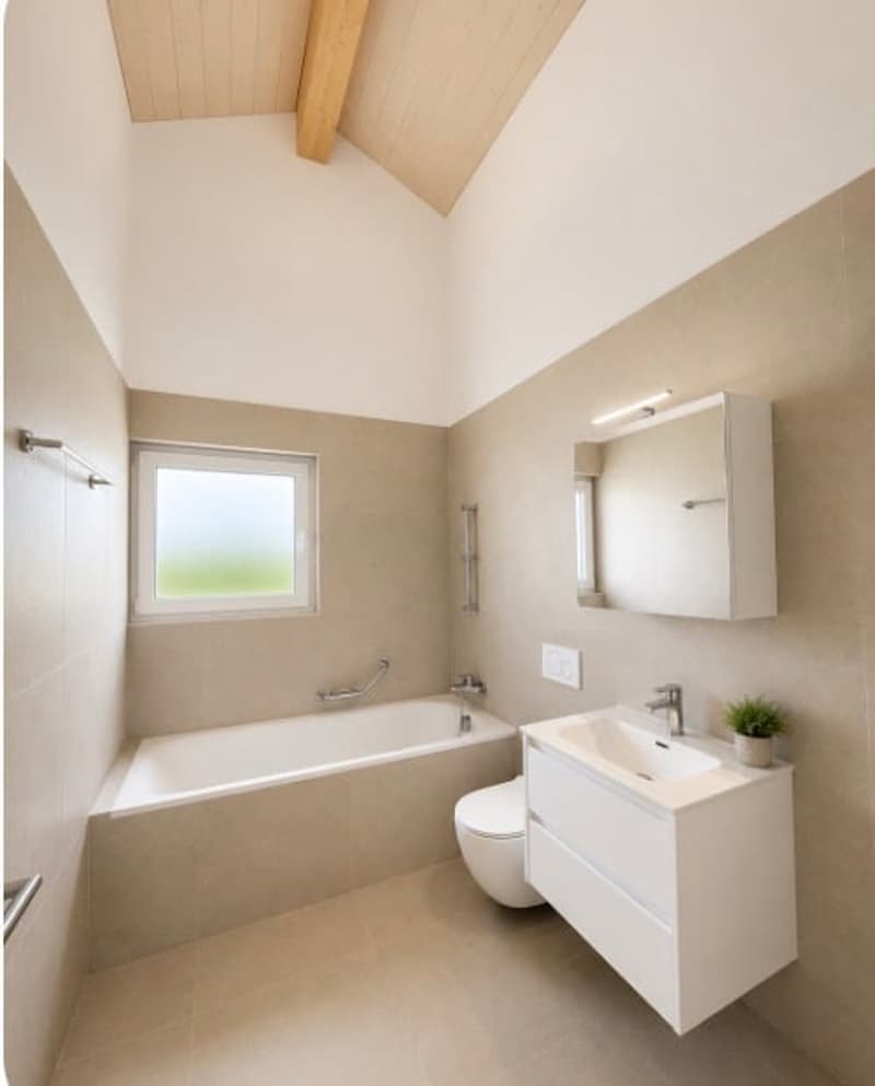Ultima villa individuale disponibile a Villorsonnens (8)