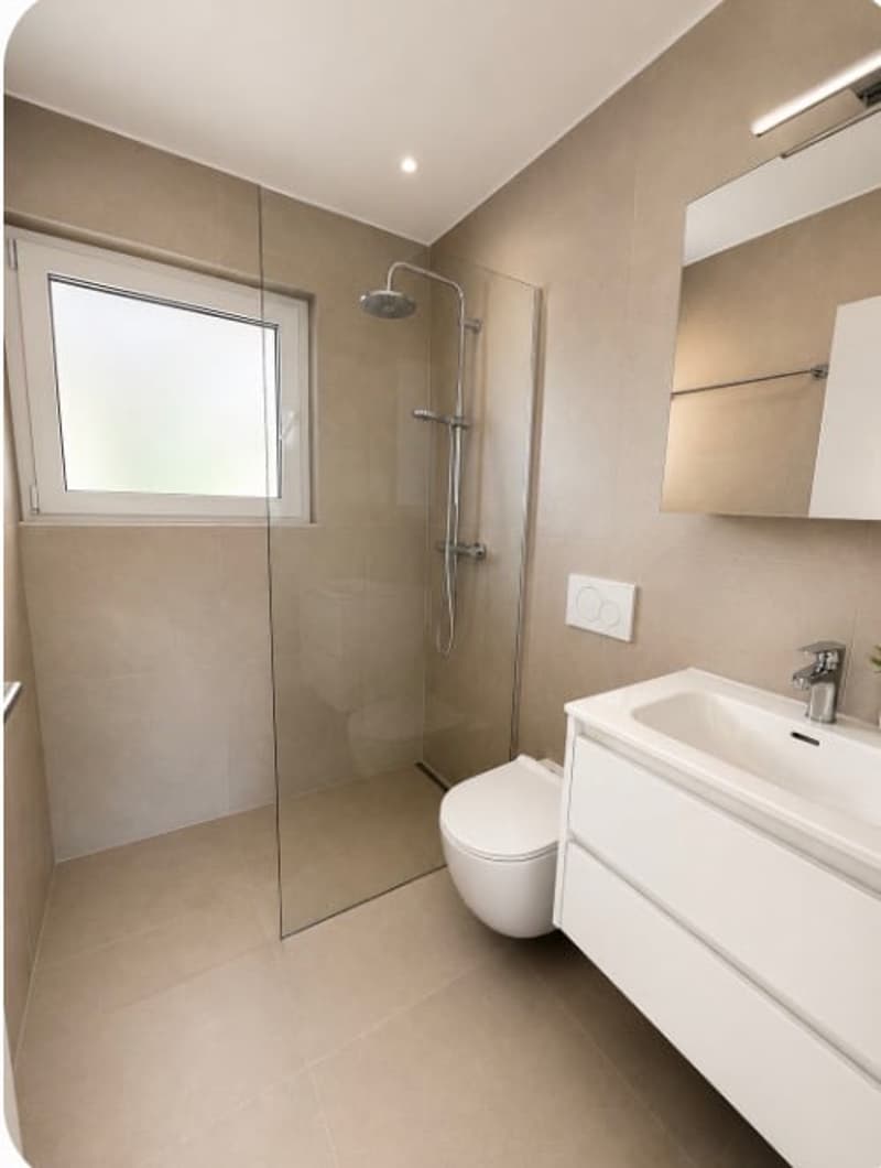 Ultima villa individuale disponibile a Villorsonnens (7)