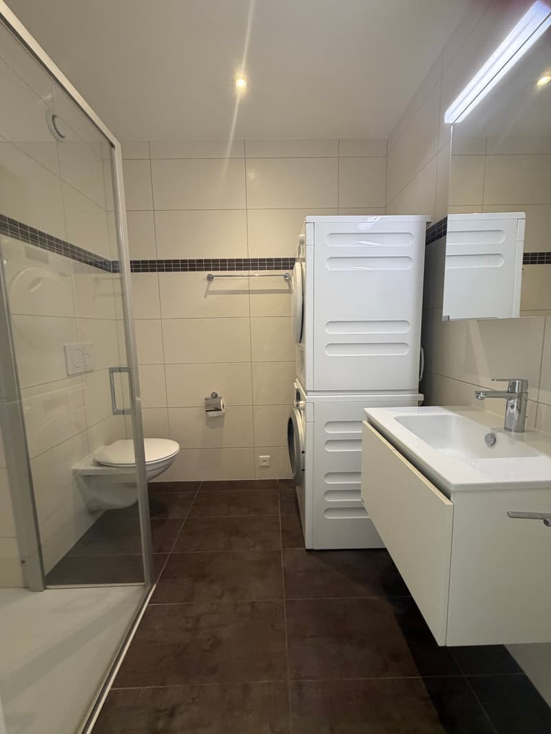 À louer – Magnifique appartement récent de 3.5 pièces à Romont (5)