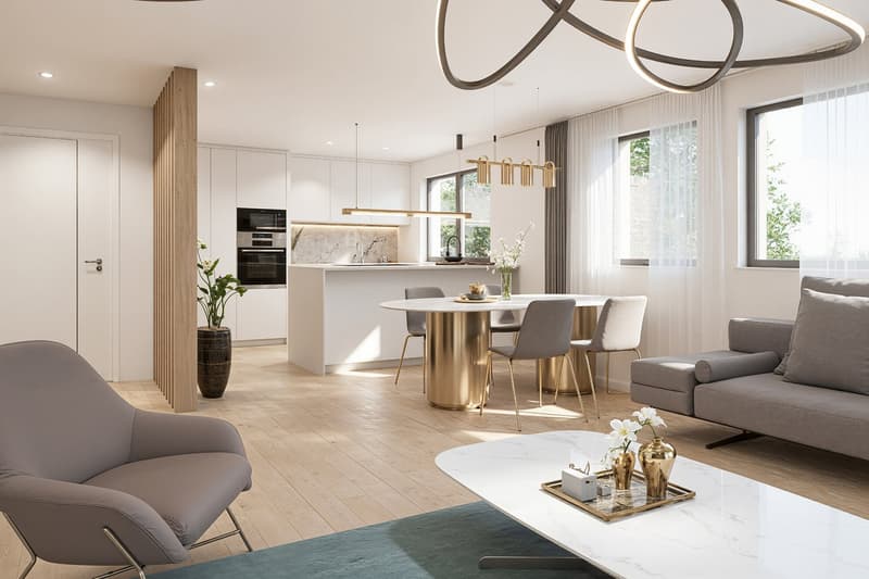 Nouvelles villas de 5.5 pièces à Prez-vers-Siviriez (6)