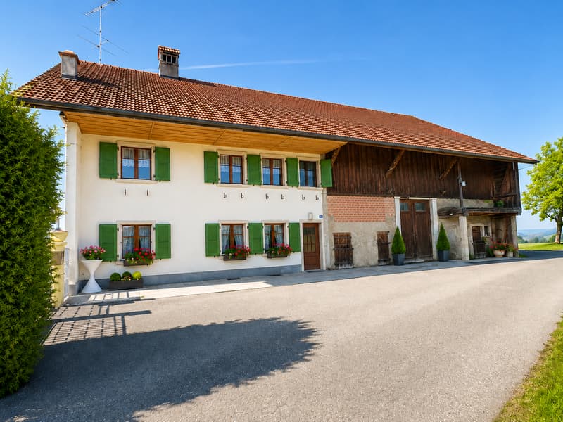 À louer – Spacieux appartement de 4.5 pièces à La Joux (FR) (3)