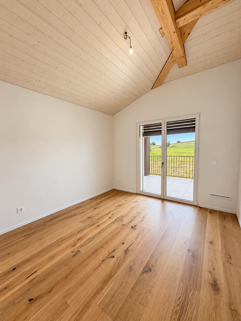 DERNIÈRE VILLA NEUVE À VUISTERNENS – DISPONIBLE IMMÉDIATEMENT ! (7)