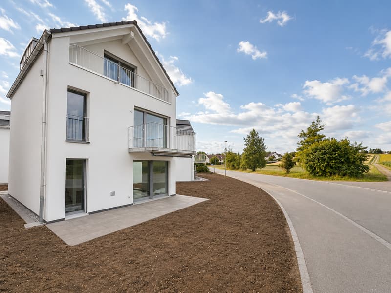 Immediately available - detached single-family home (8)