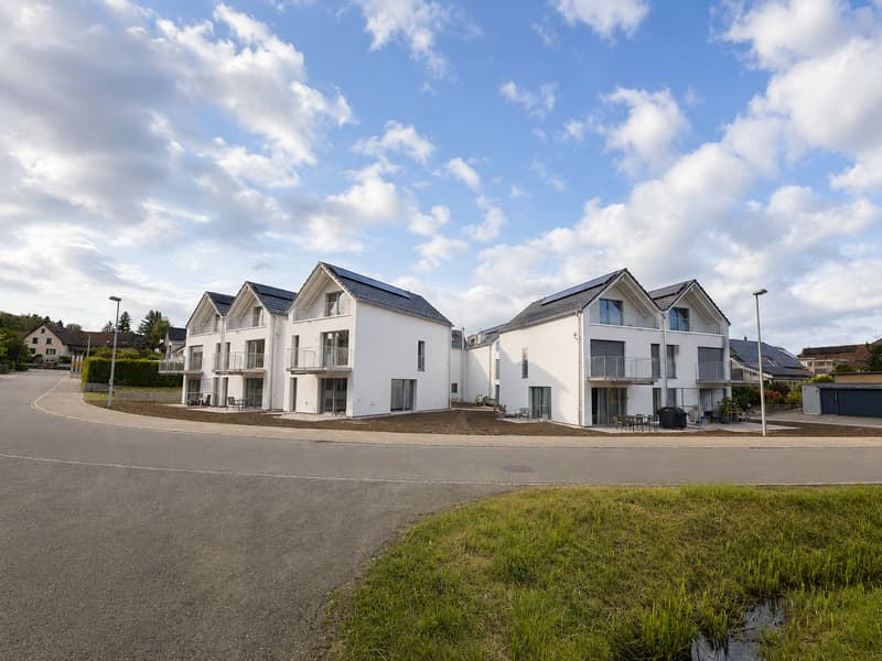 Immediately available - detached single-family home (7)