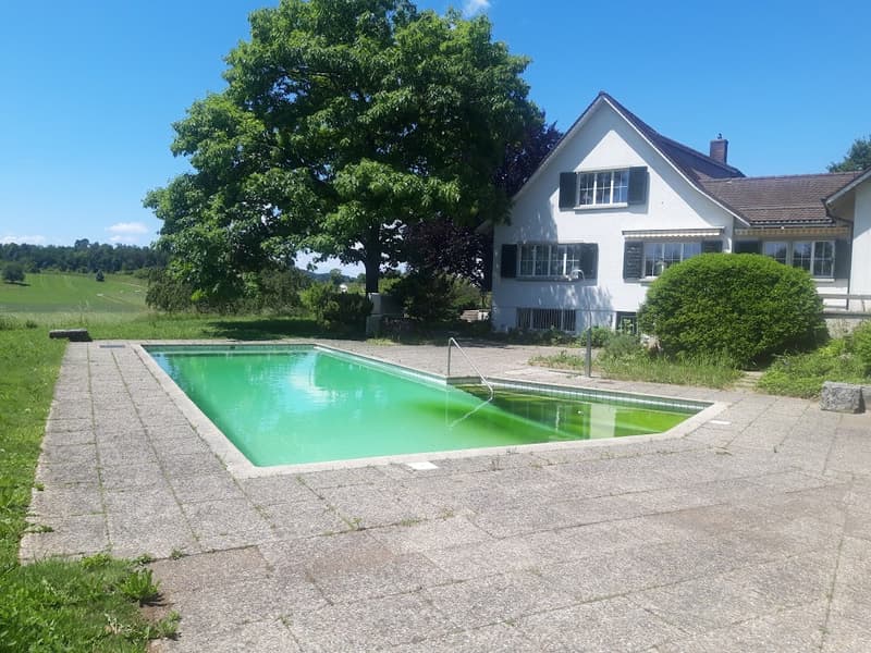 WG - 9-Zimmer-Villa mit beheiztem Pool für unkomplizierte WG (3)