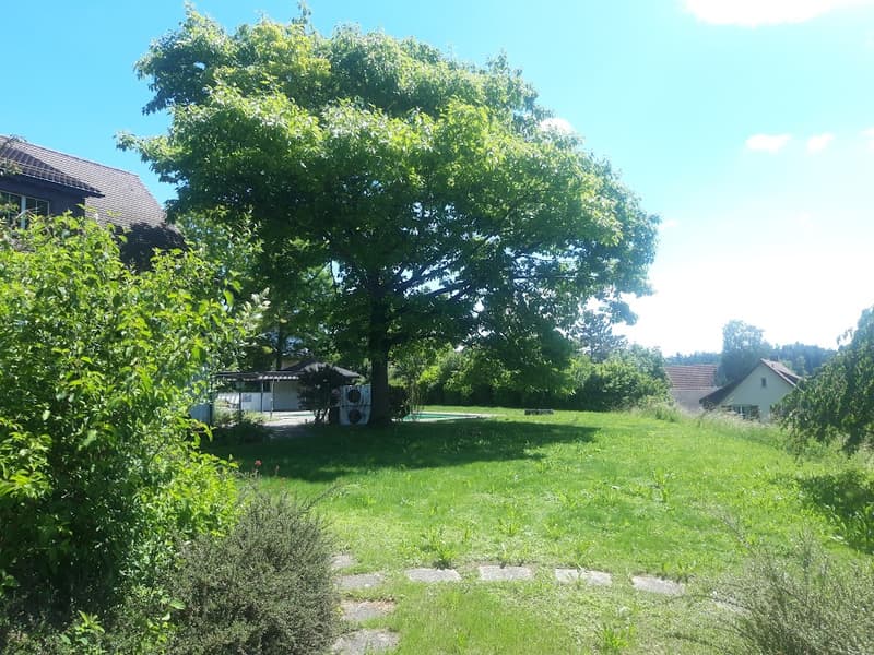 Mehr-Generationen-Villa mit viel Platz und grossem Umschwung! (2)