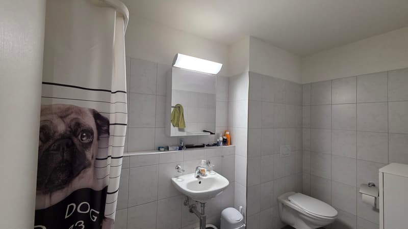 Badezimmer 2