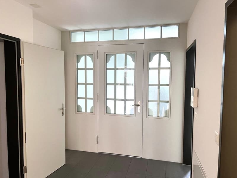 Wohnen beim Löwen Center Luzern - Grosszügige, helle 2.5 Zimmer Wohnung zu mieten (7)