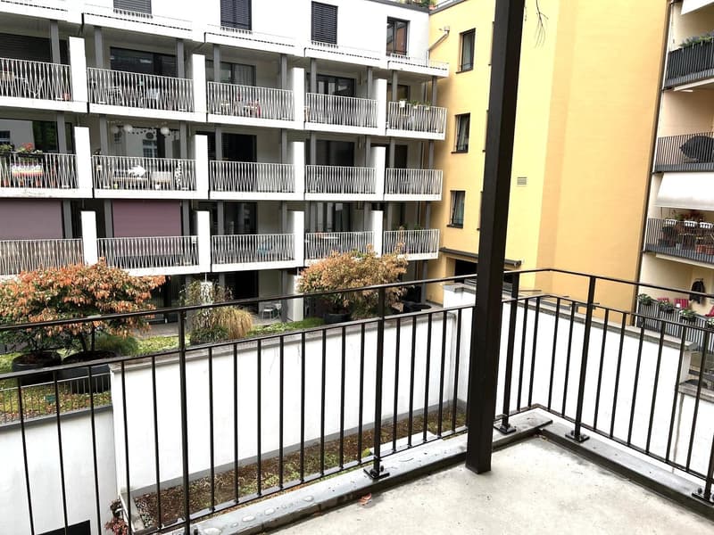 Wohnen beim Löwen Center Luzern - Grosszügige, helle 2.5 Zimmer Wohnung zu mieten (9)