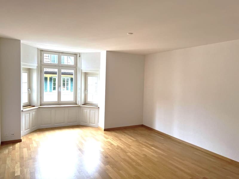 Wohnen beim Löwen Center Luzern - Grosszügige, helle 2.5 Zimmer Wohnung zu mieten (2)