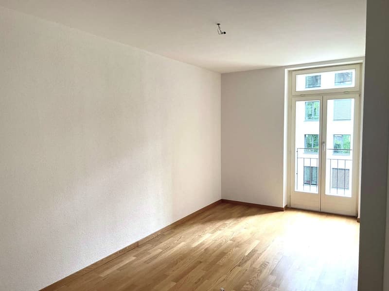 Wohnen beim Löwen Center Luzern - Grosszügige, helle 2.5 Zimmer Wohnung zu mieten (4)