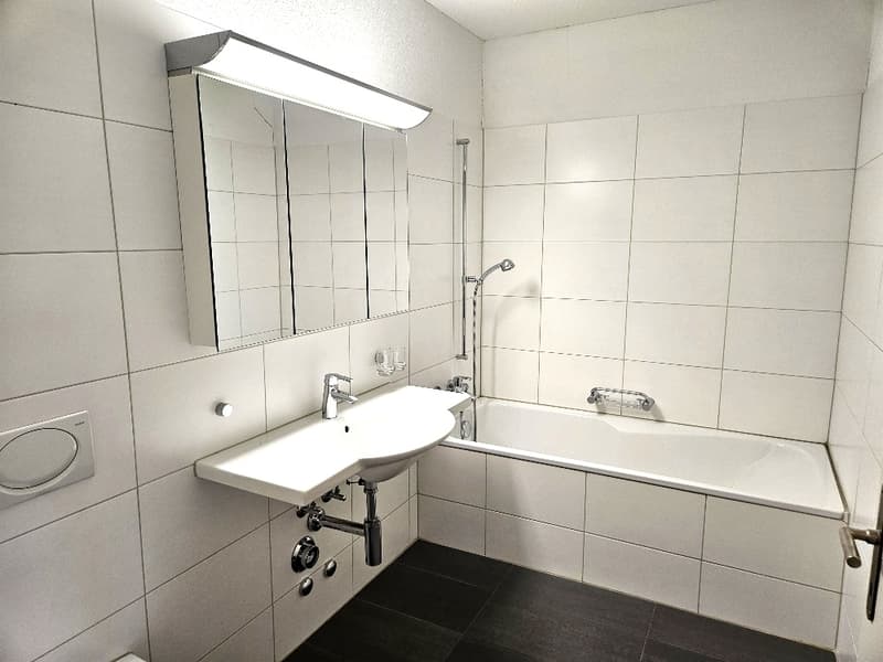 Vivre comme en vacances - appartement 2.5 pièces au Löwen Center Lucerne à louer (6)
