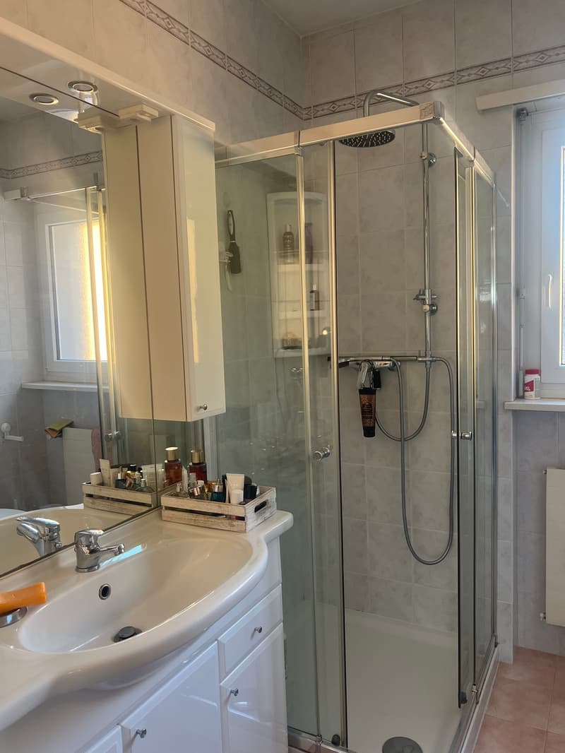 The image shows a modern bathroom with a glass-enclosed shower, a vanity with a sink, and storage cabinets above the sink. The bathroom is tiled with gray tiles and has a window. The shower has a rainfall showerhead and a handheld shower attachment.