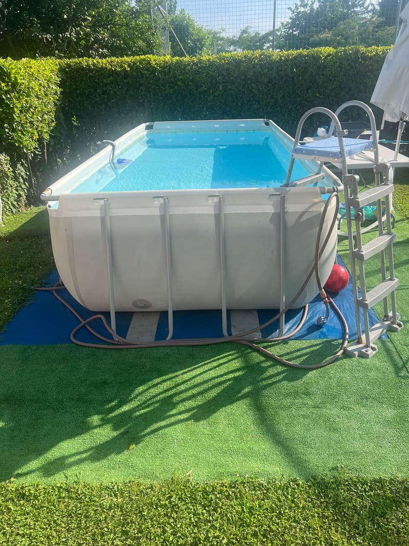 Rectangular above-ground swimming pool set up in a backyard with a grassy lawn and hedges surrounding the area.