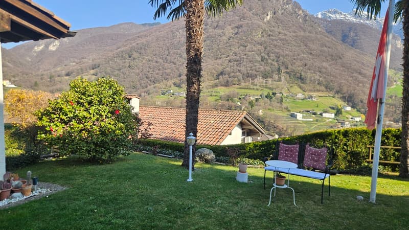 green lawn, small table, bench, flag, plants, mountains in the background