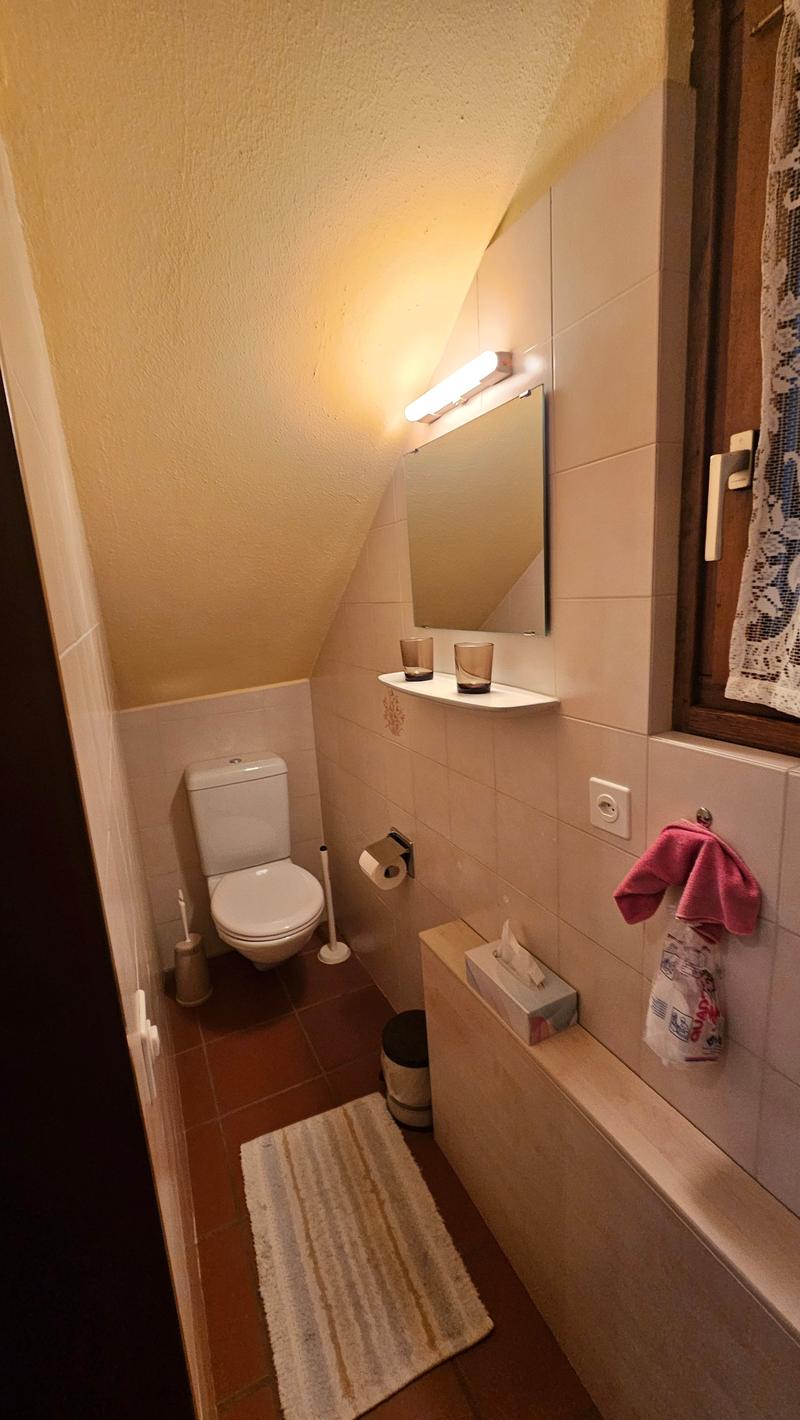 Bathroom with toilet, mirror, shelf, rug, tissue box, and towel rack.