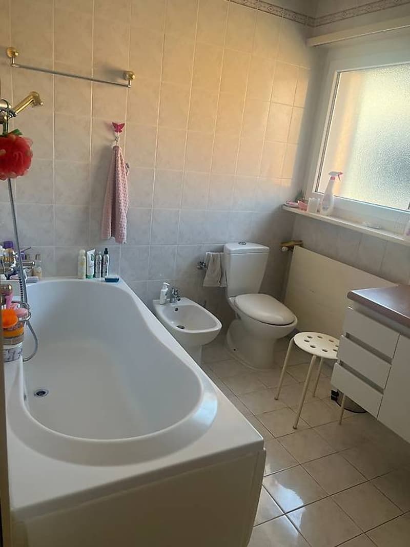 4.5 rooms Canobbio - Bright apartment (8)