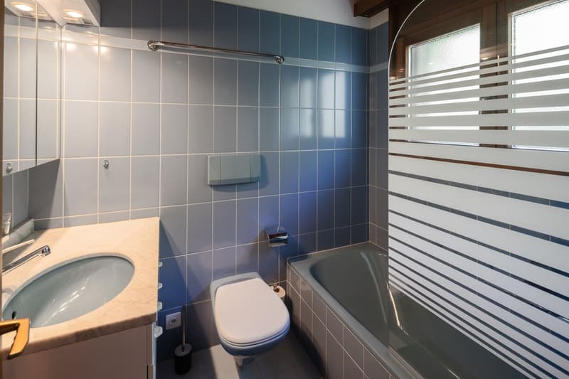 The image shows a bathroom with blue and white tiled walls, a sink with a vanity, a toilet, and a frosted glass window with striped patterns.