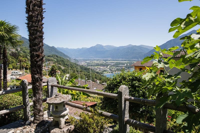The image shows a scenic view of a mountainous landscape with a town or city in the valley below. There is a palm tree in the foreground and lush greenery surrounding a wooden bench or seating area. The background features snow-capped mountains and a clea