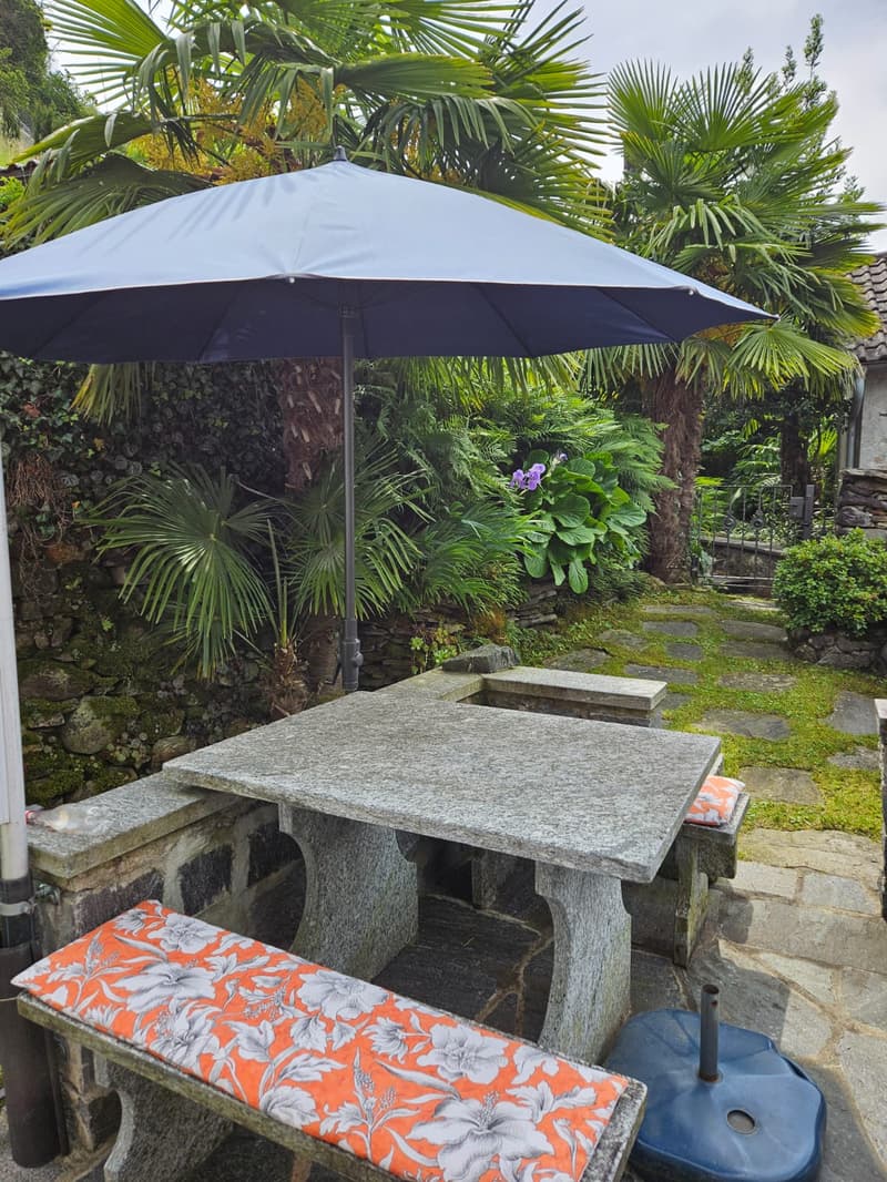 Outdoor patio with a stone table and benches, surrounded by lush tropical plants and palm trees. A large umbrella provides shade over the seating area.