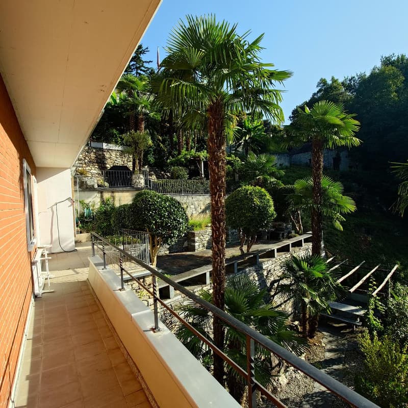 Terrace, metal railing, multiple trees and plants, stone bench