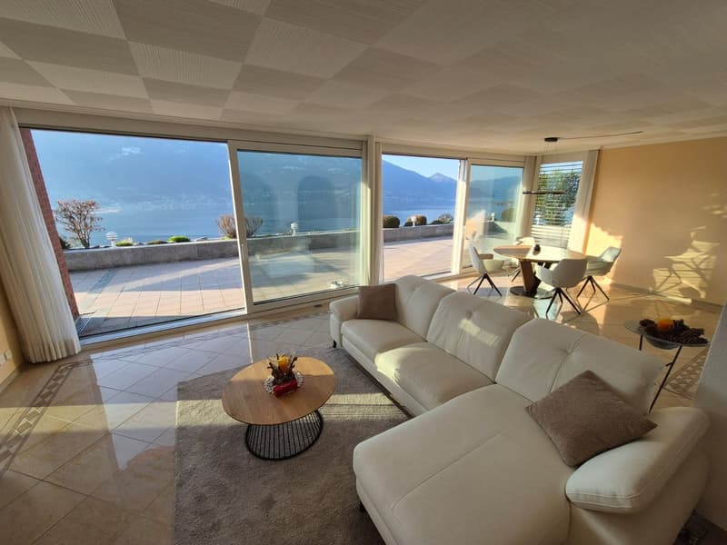 large windows, white leather sofa, wooden coffee table, dining table with chairs, tiled floor, carpet