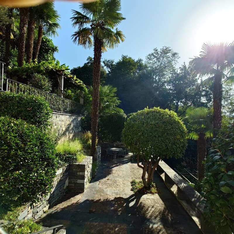 A paved walkway leading to a table and chairs, surrounded by palm trees, hedges, and stone walls.