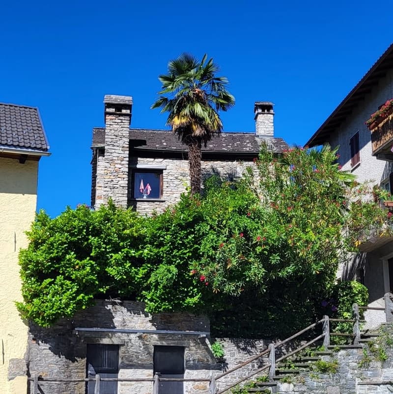 Originelles Tessinerhaus im Nucleo von Brione s.Minusio (1)