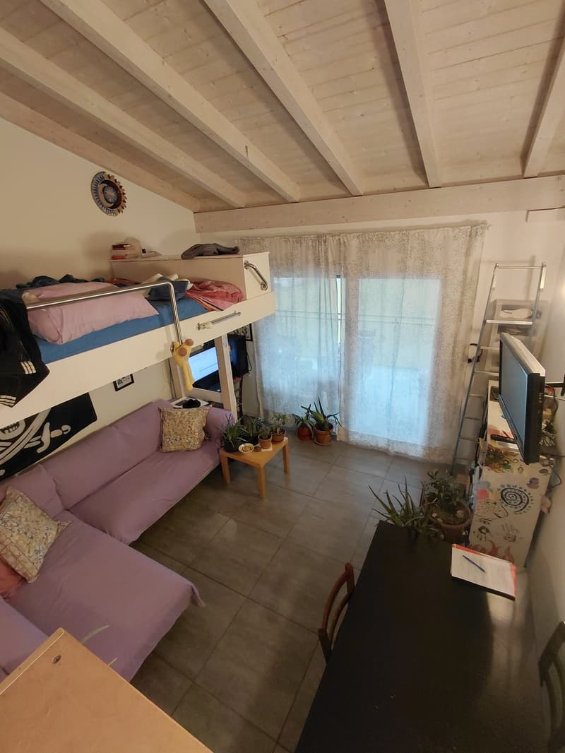 Cozy 2.5-room apartment with balcony in Lumino (3)