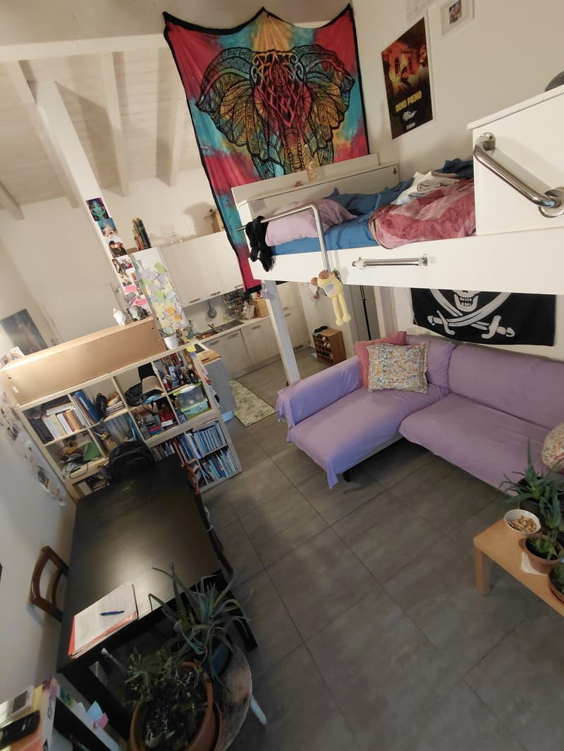 Cozy 2.5-room apartment with balcony in Lumino (2)
