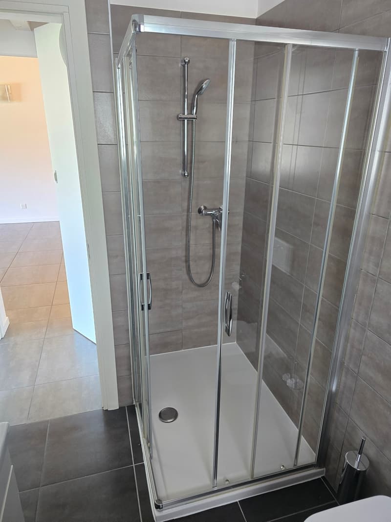 Gemütliche 2.5-Zimmer-Wohnung mit Balkon in Lumino (4)