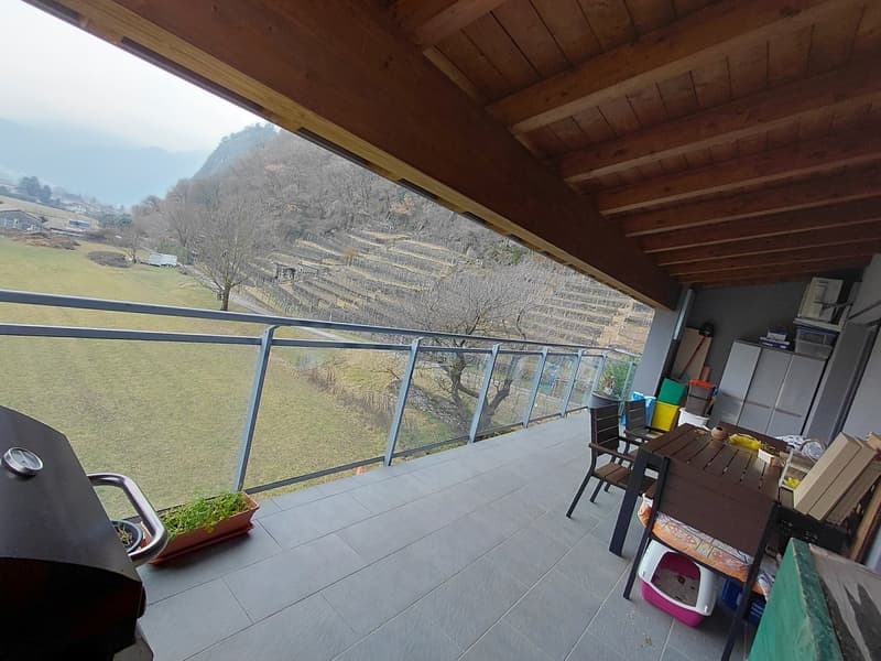 Cozy 2.5-room apartment with balcony in Lumino (8)