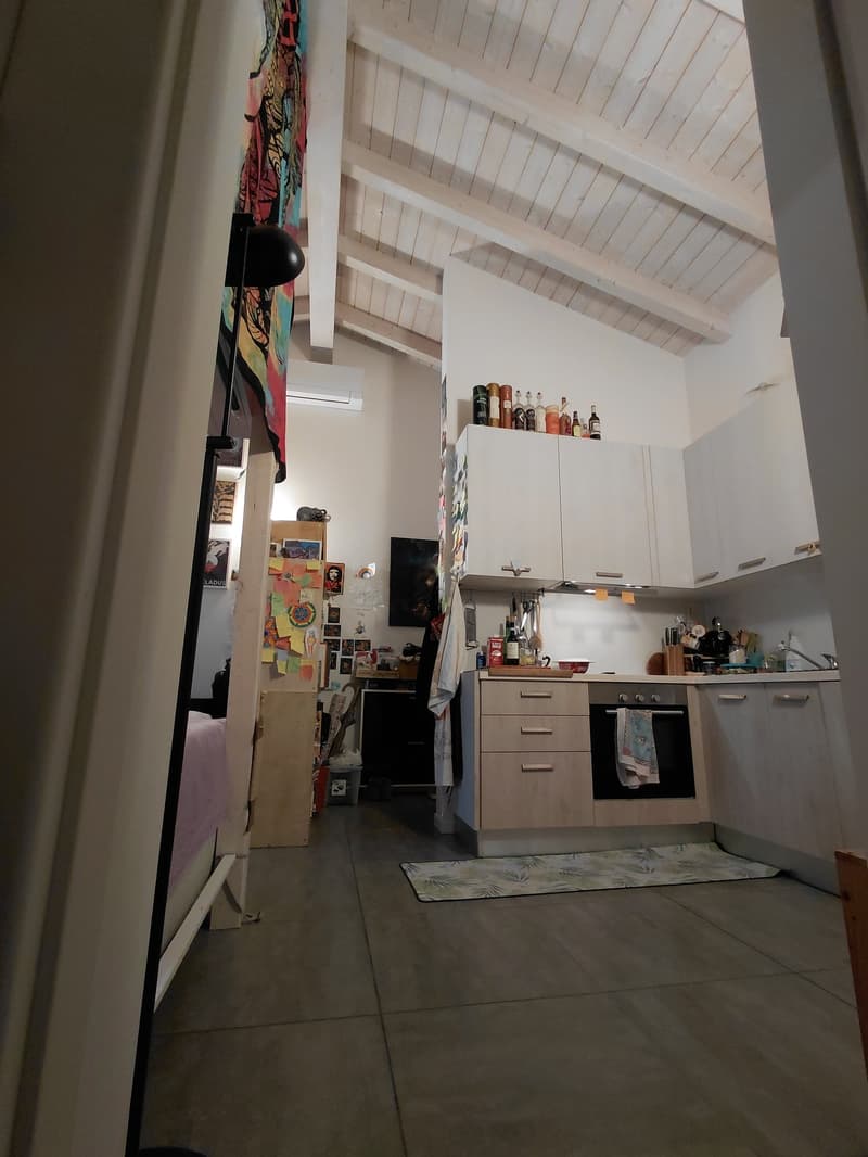 Cozy 2.5-room apartment with balcony in Lumino (4)