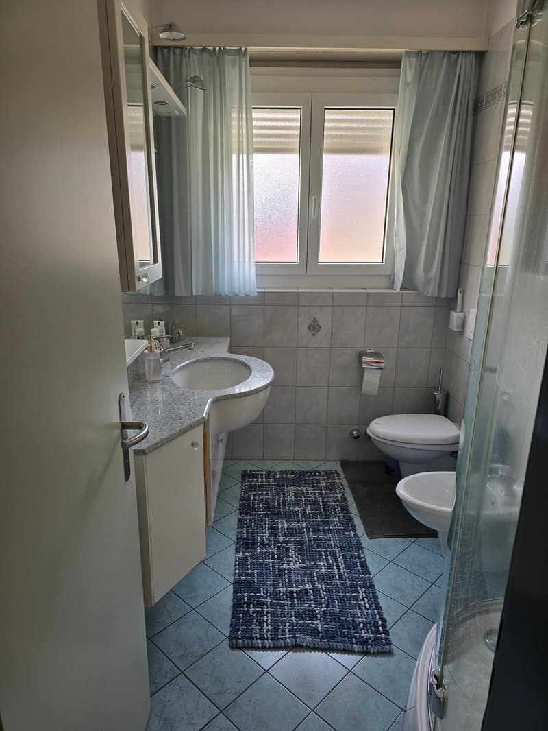 Bathroom with sink, toilet, shower, and rug