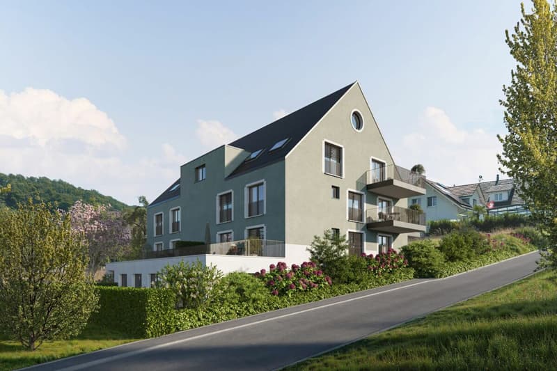 Habiter avantageusement à Weiach : appartement neuf de 4,5 pièces (5)