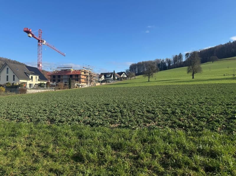 Habiter avantageusement à Weiach : appartement neuf de 4,5 pièces (2)
