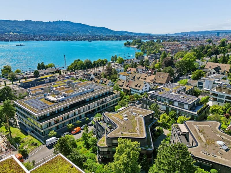 Moderne 2.5-Zimmer-Wohnung im Seefeld (1)