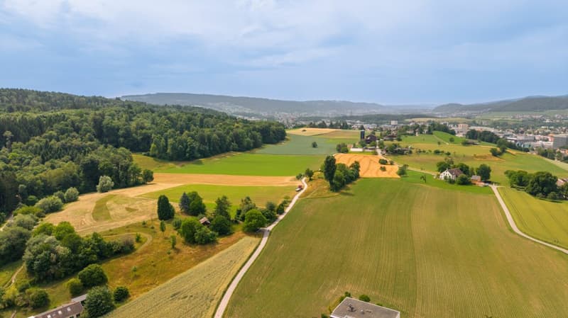 6.5-Zimmer-Einfamilienhaus mit Blick ins Grüne (13)