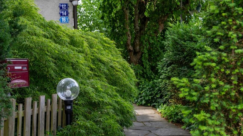 6.5-Zimmer-Einfamilienhaus mit Blick ins Grüne (12)