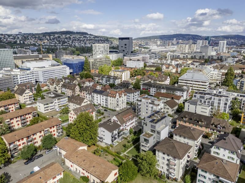 Charmante 2.5-Zimmerwohnung - Ihre Wohlfühloase im Kreis 9 (9)
