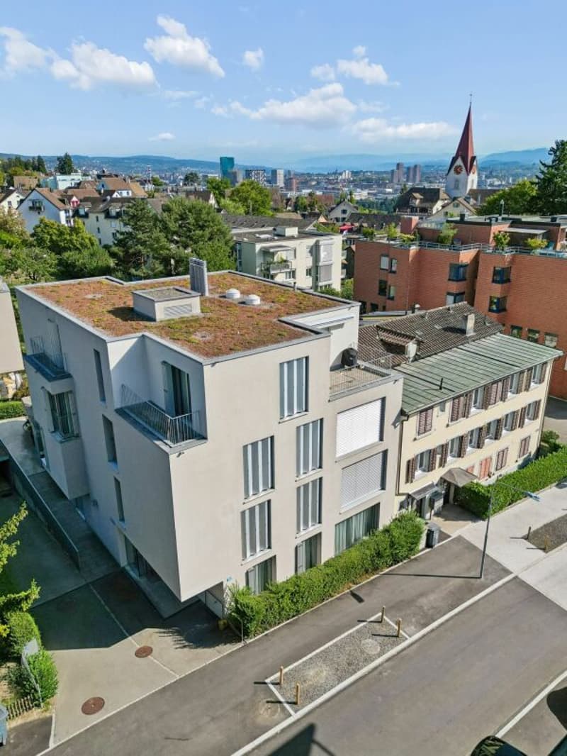 Grosszügige 4.5-Zimmer-Gartenwohnung in zentrumsnähe in Höngg (1)