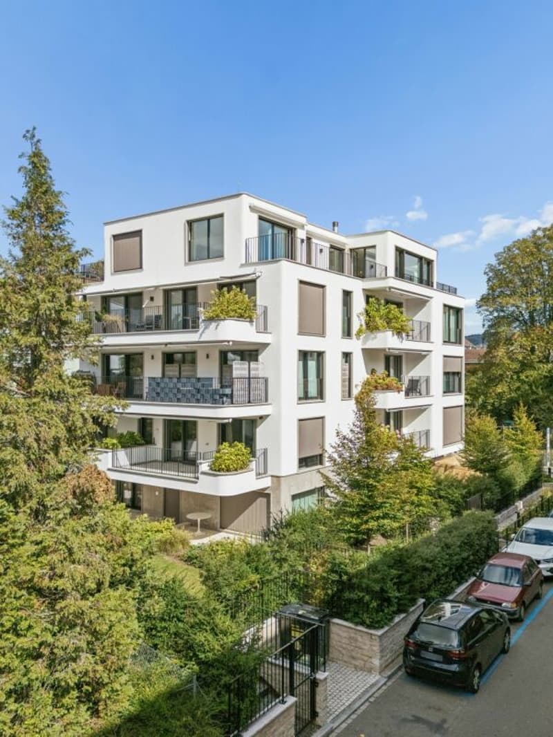 Exklusive 4.5-Zimmer-Wohnung an der Goldbrunnenstrasse (4)