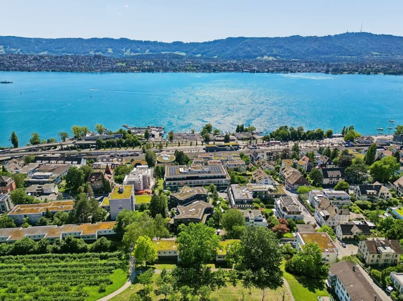 Moderne 2.5-Zimmer-Wohnung im Seefeld (1)