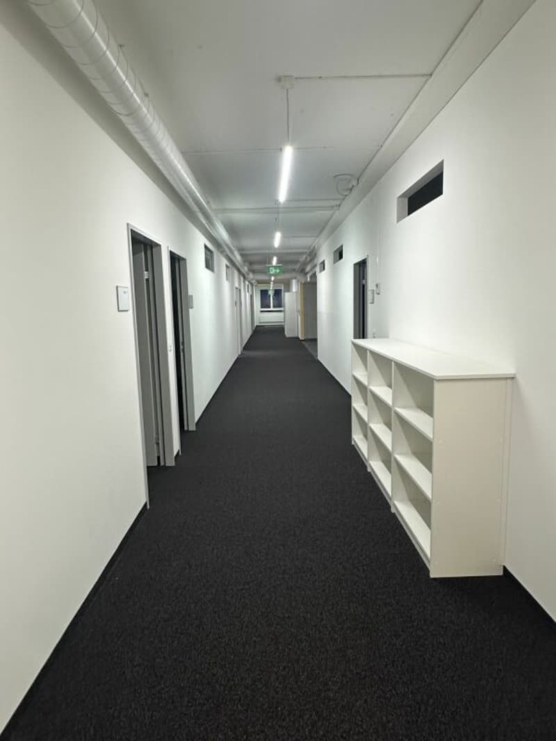 Ampio ufficio/spazi commerciali a Zürich Altstetten (9)