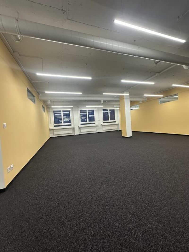 Ampio ufficio/spazi commerciali a Zürich Altstetten (5)