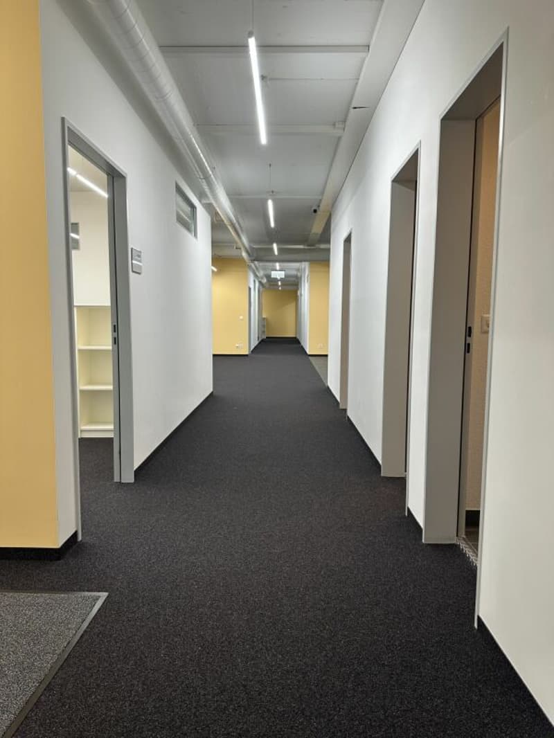 Ampio ufficio/spazi commerciali a Zürich Altstetten (4)